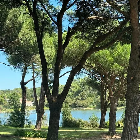 4 Personnes Du Golf Avec Vue Англе